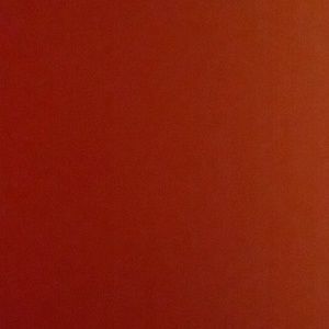 Meet your Posher, Callie